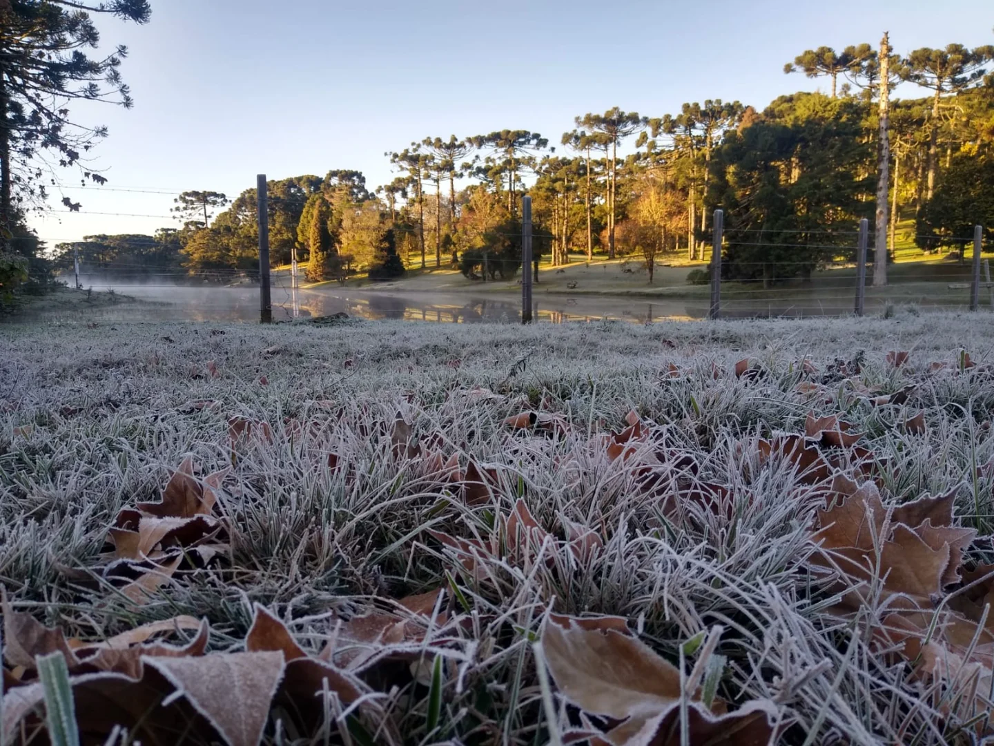 Amanhecer com 7°C em Gramado: O que esperar do frio na Serra Gaúcha em 2026