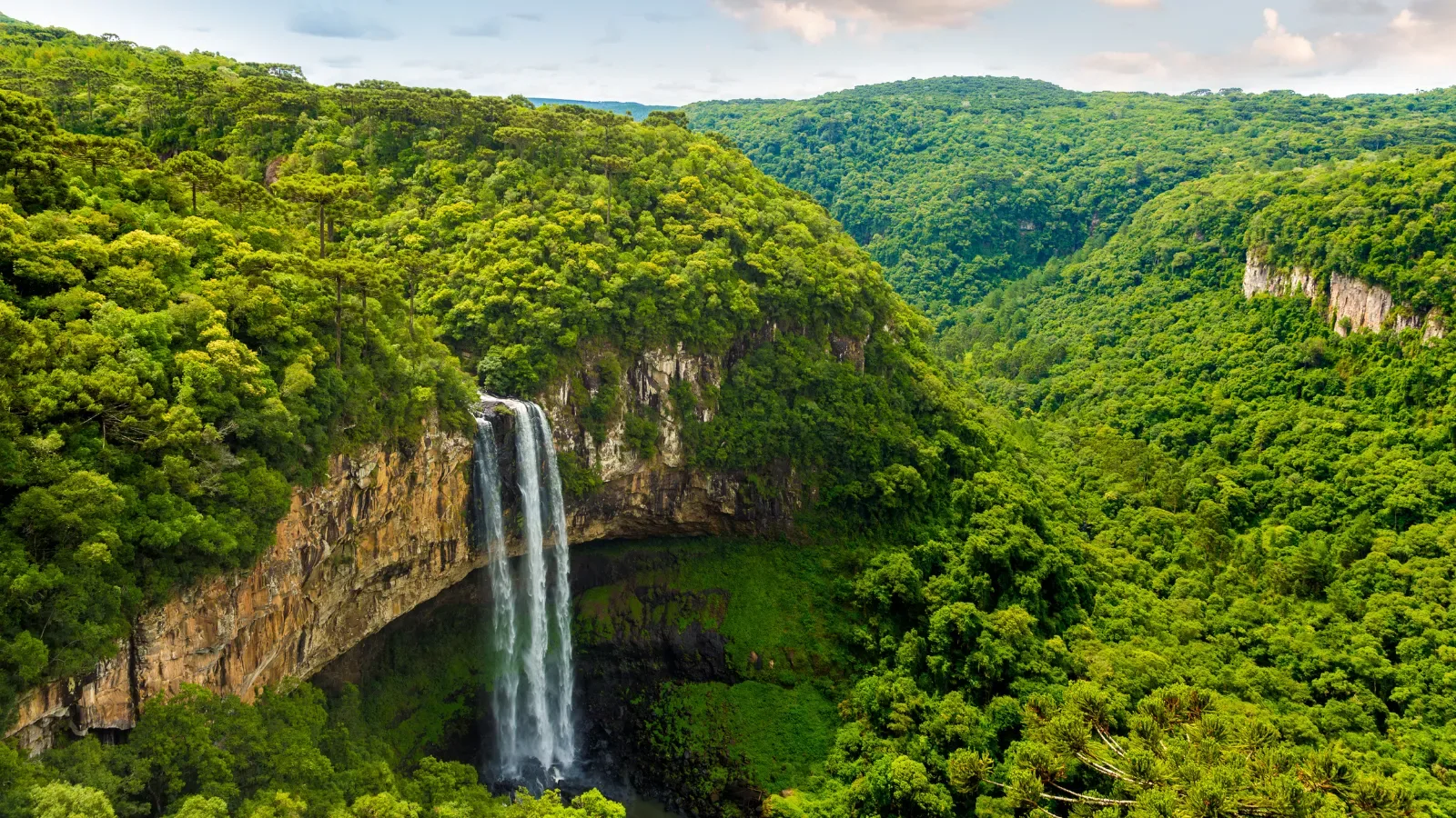 cascata do caracol em canela, cercada por mata nativa com uma queda de agua