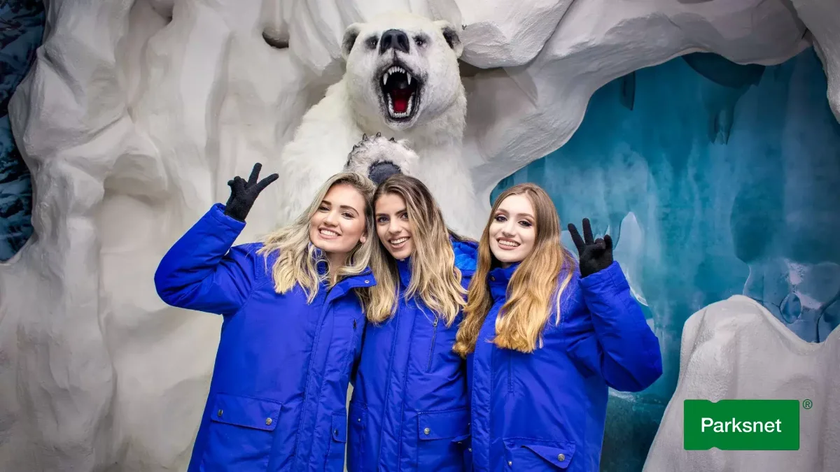 Dreamland Ice Bar