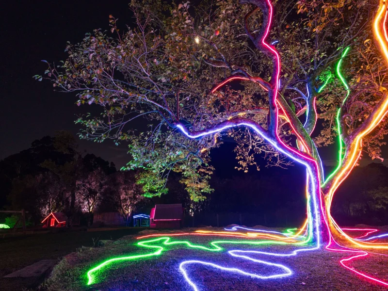 Lumni Experience Gramado — Parque Noturno de Luzes com 500 mil LEDs
