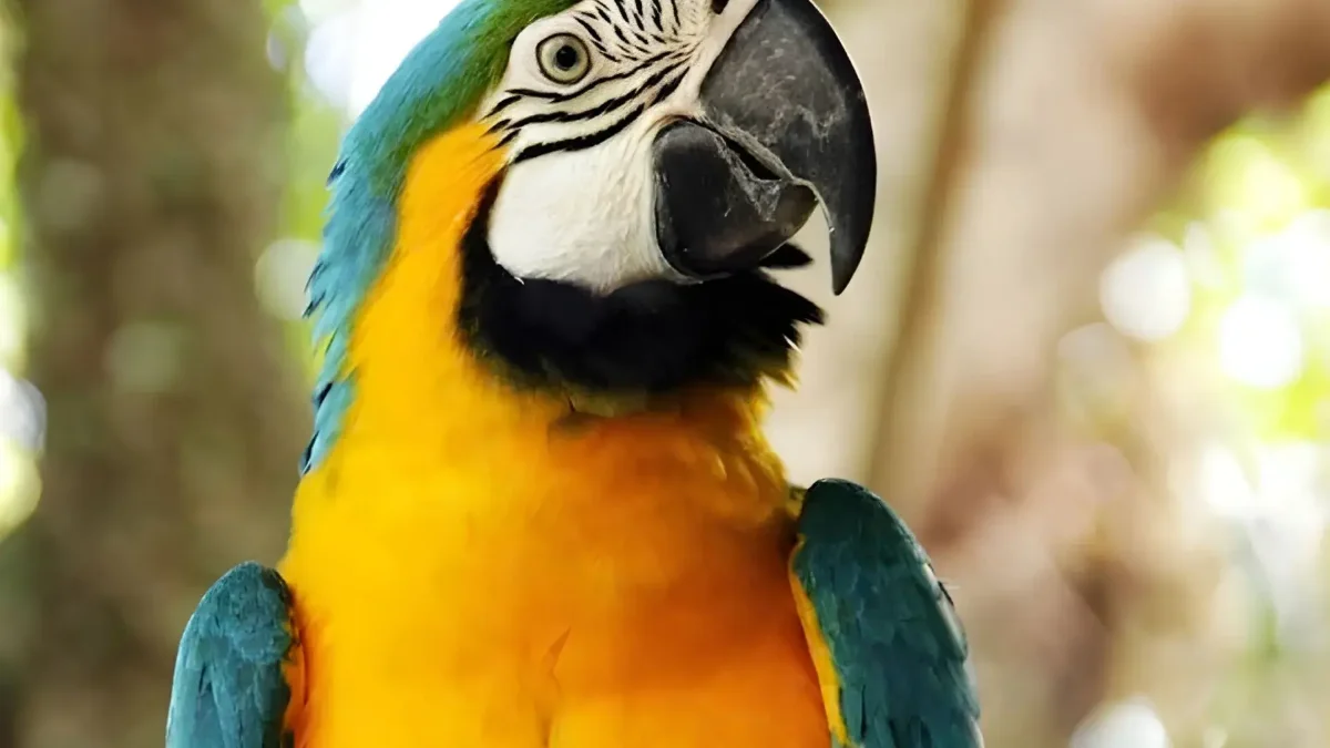  Zoológico de Balneário Camboriú